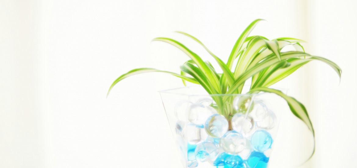 甲府市伊勢 甲斐住吉駅 皮膚科